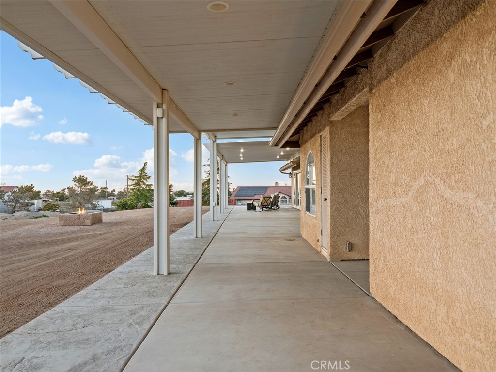 6232 Coriander