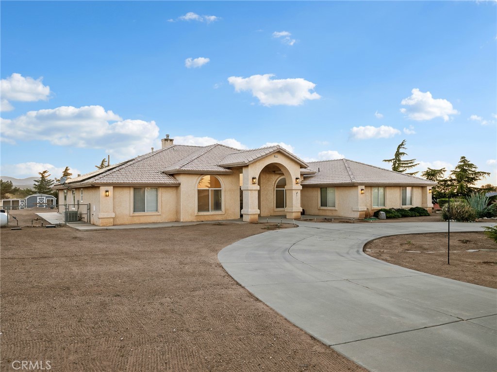 6232 Coriander