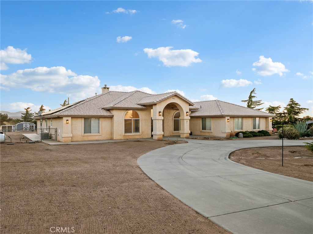 6232 Coriander