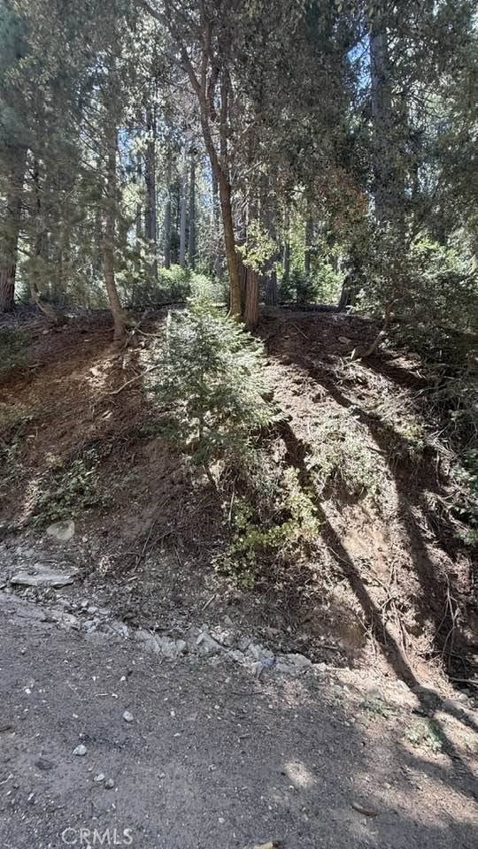 34207243 Mojave River Rd.