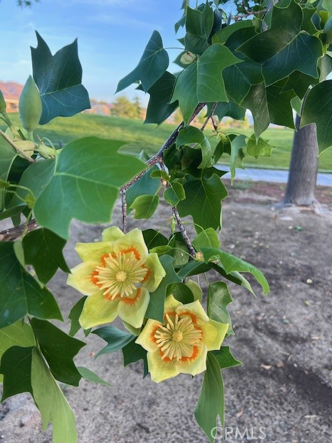 10812 Katepwa Street