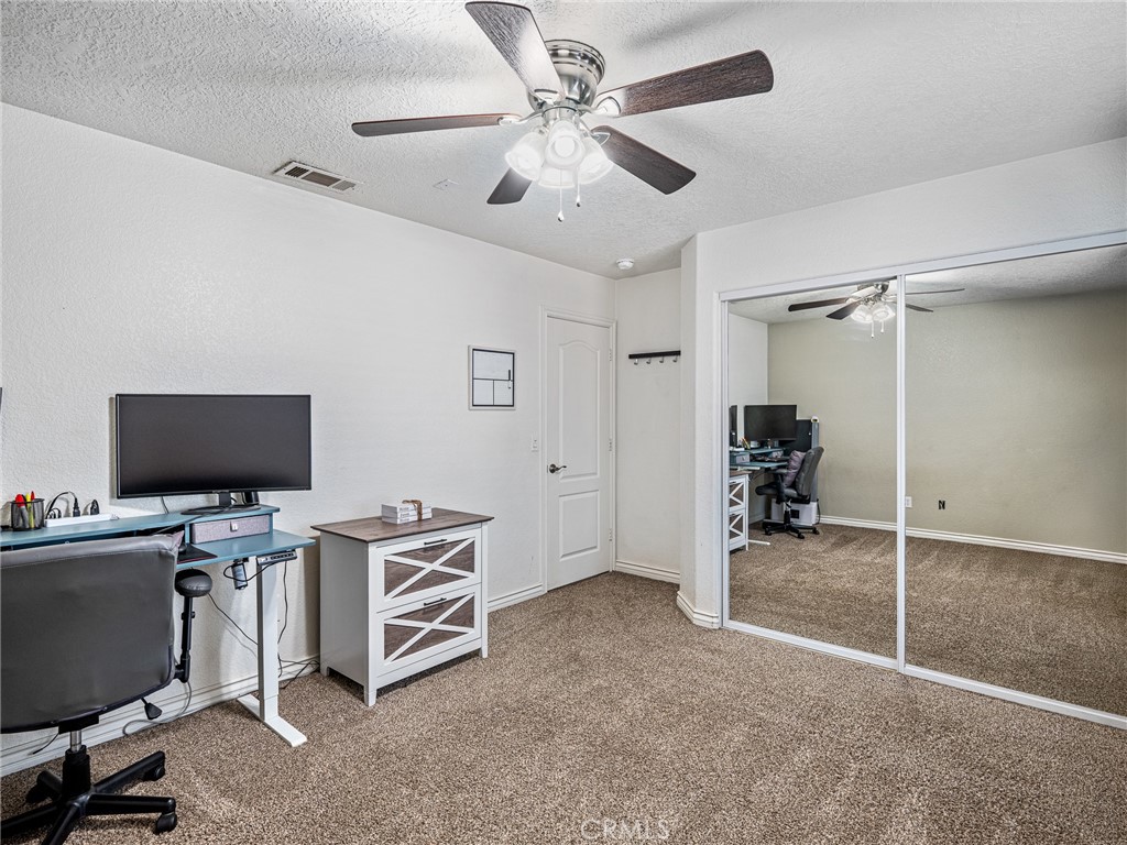 6232 Coriander