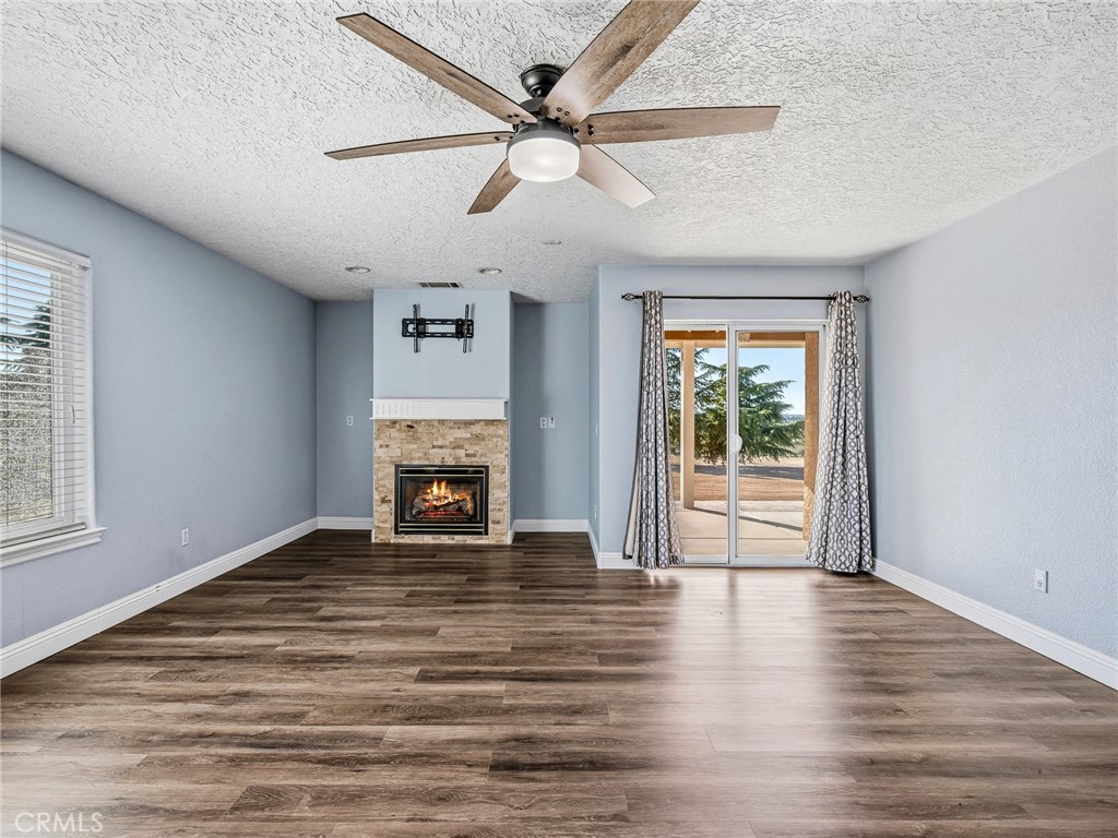 6232 Coriander