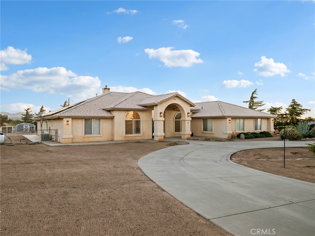 6232 Coriander