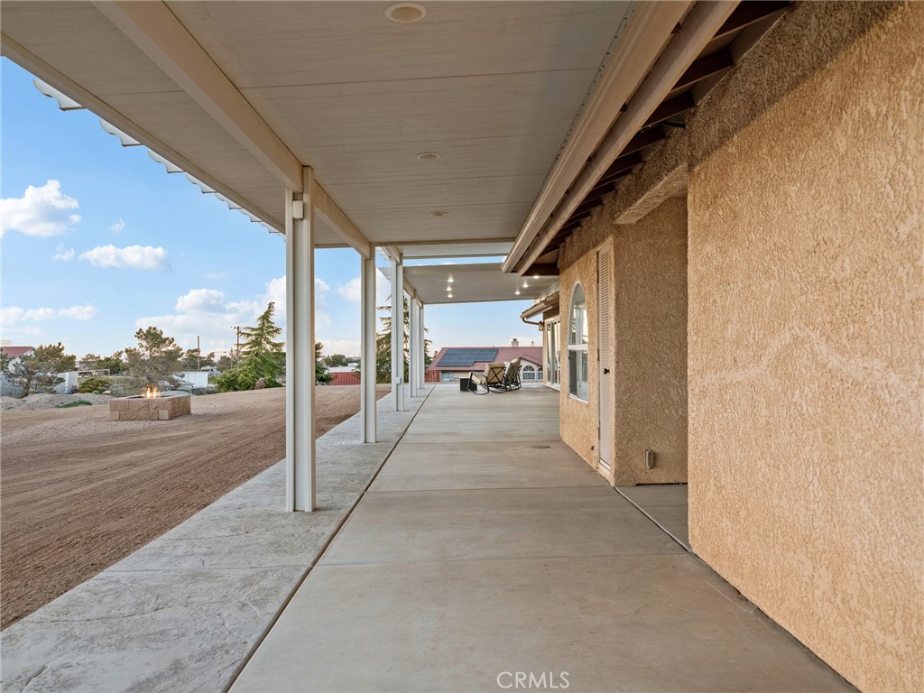 6232 Coriander