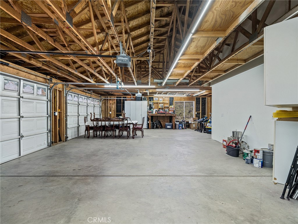 6232 Coriander