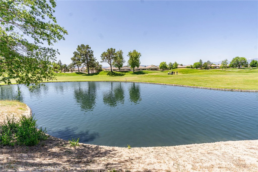 11342 Sawgrass