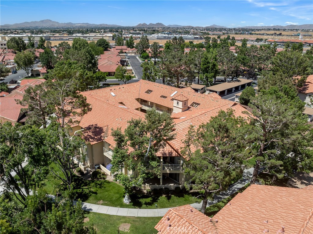 19119 Palo Verde Drive