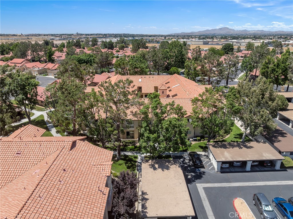 19119 Palo Verde Drive