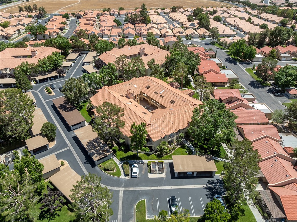 19119 Palo Verde Drive