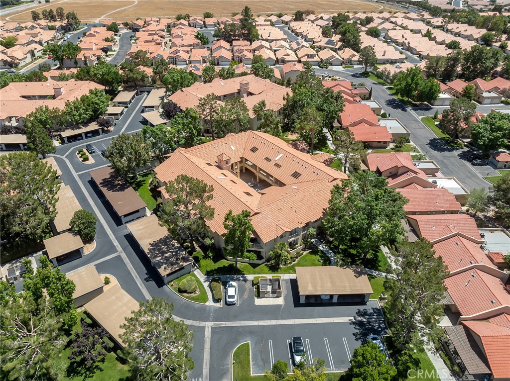19119 Palo Verde Drive