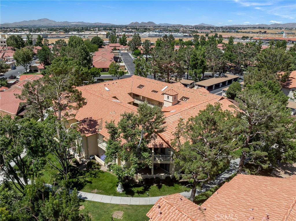 19119 Palo Verde Drive