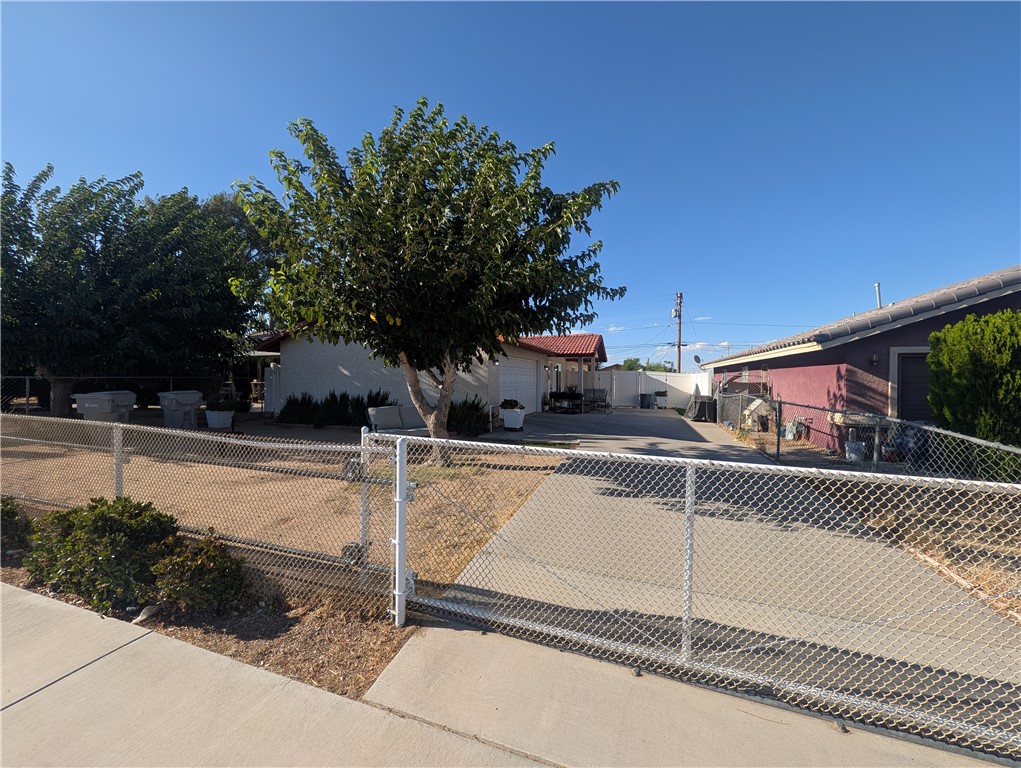 16410 Smoke Tree