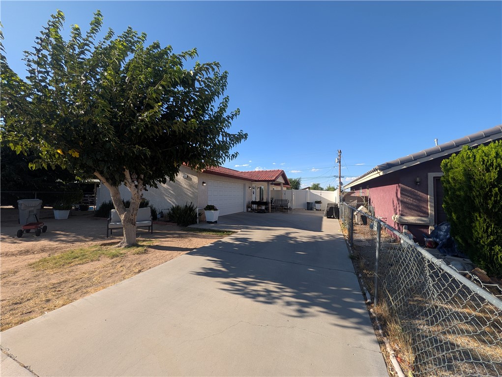16410 Smoke Tree