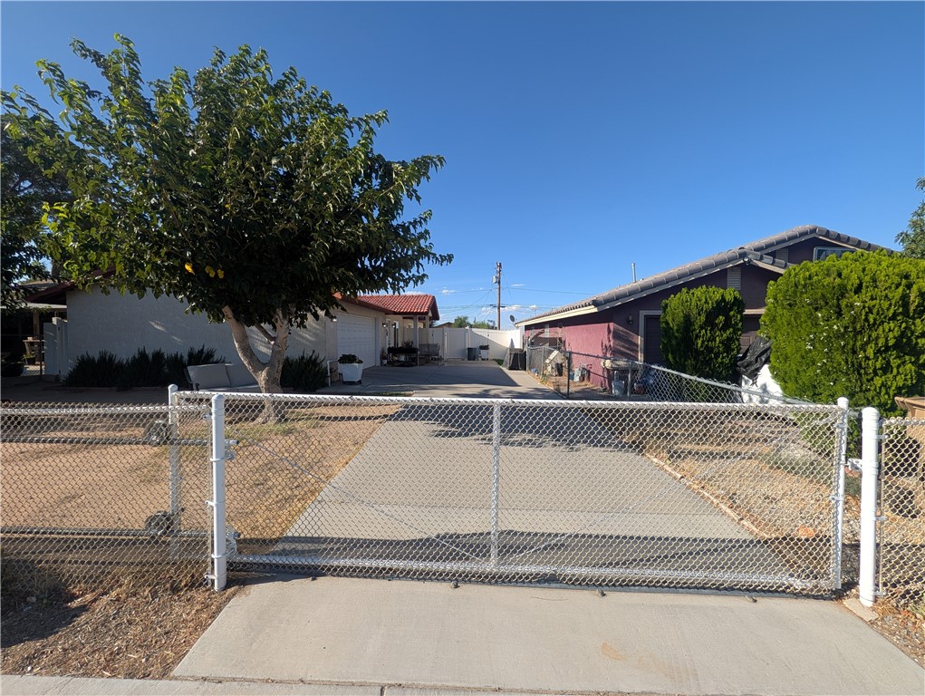 16410 Smoke Tree