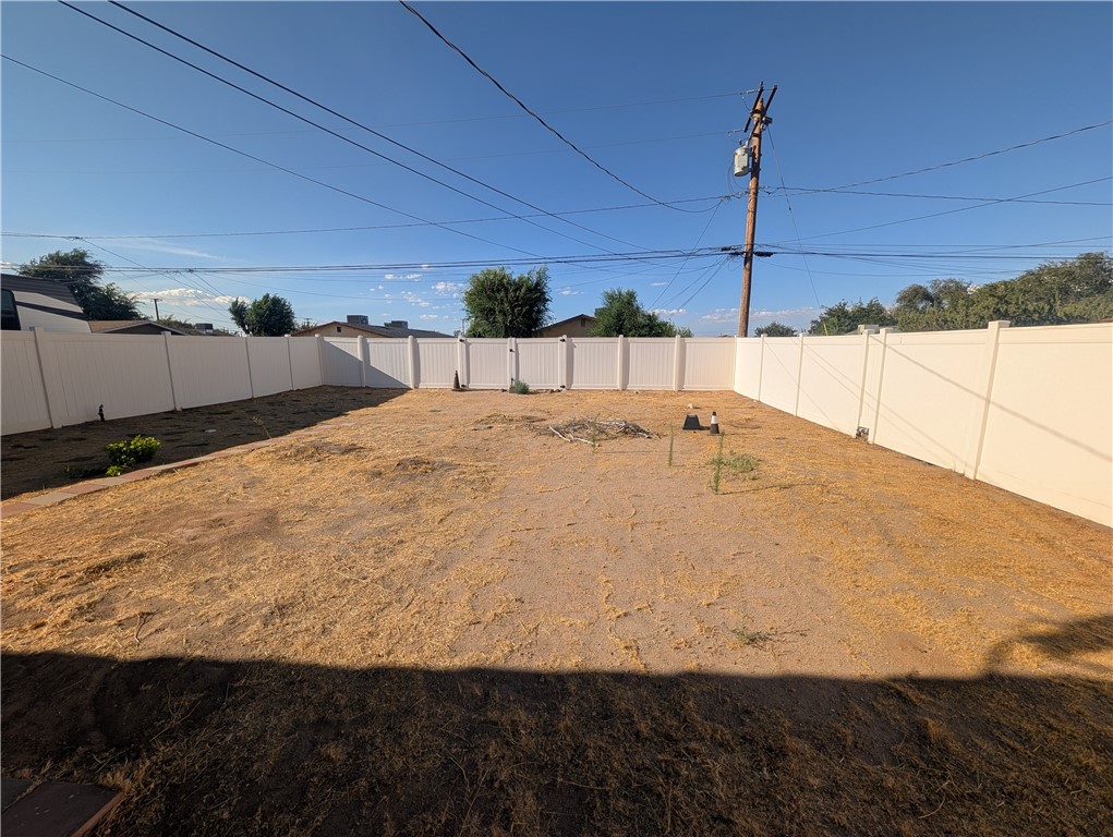 16410 Smoke Tree