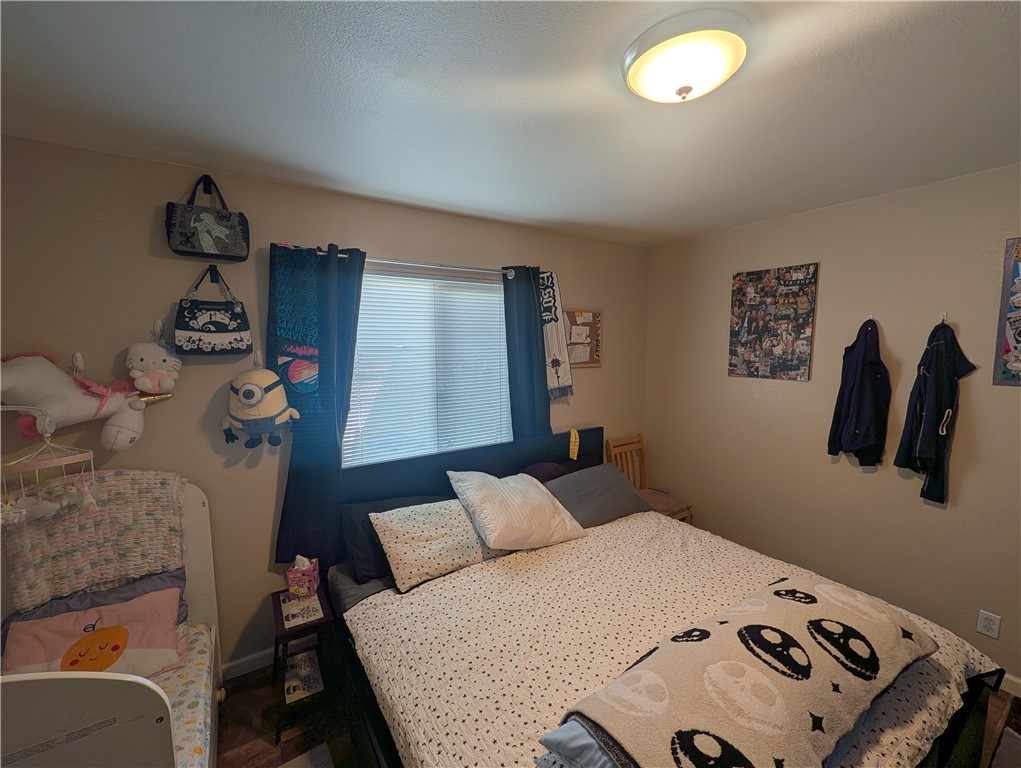 16410 Smoke Tree