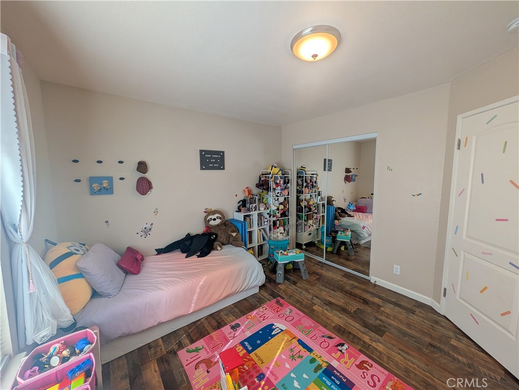 16410 Smoke Tree