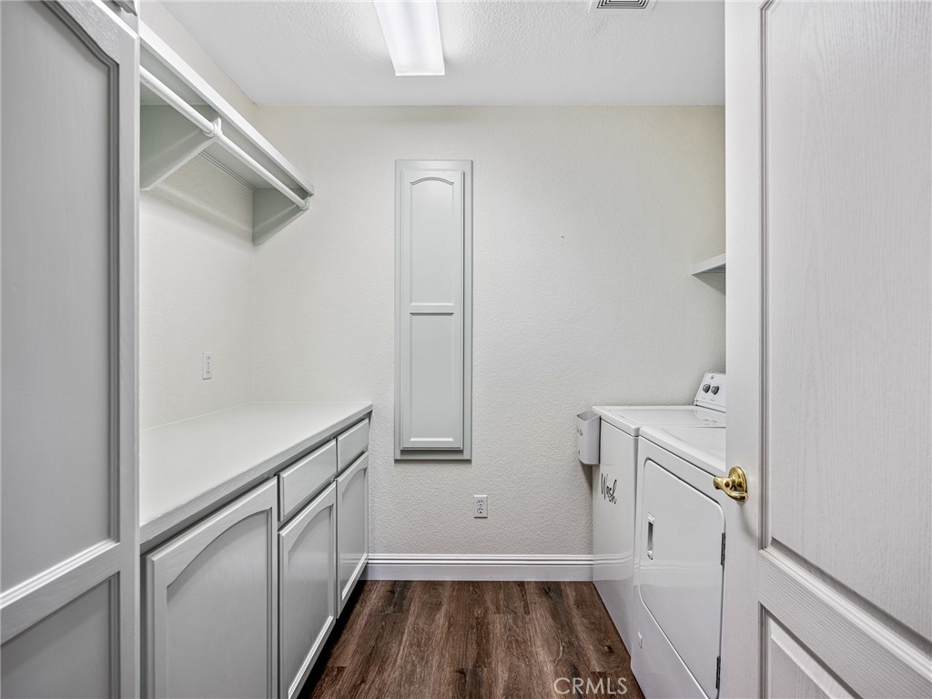 6232 Coriander