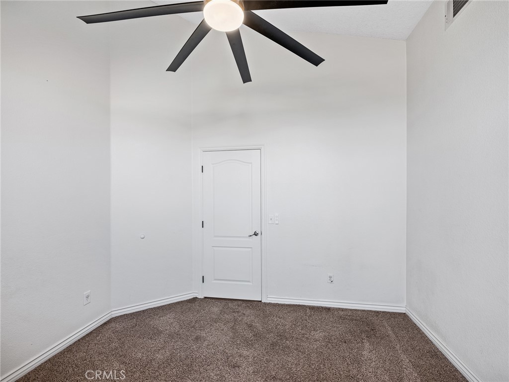 6232 Coriander
