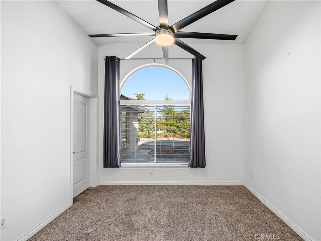 6232 Coriander