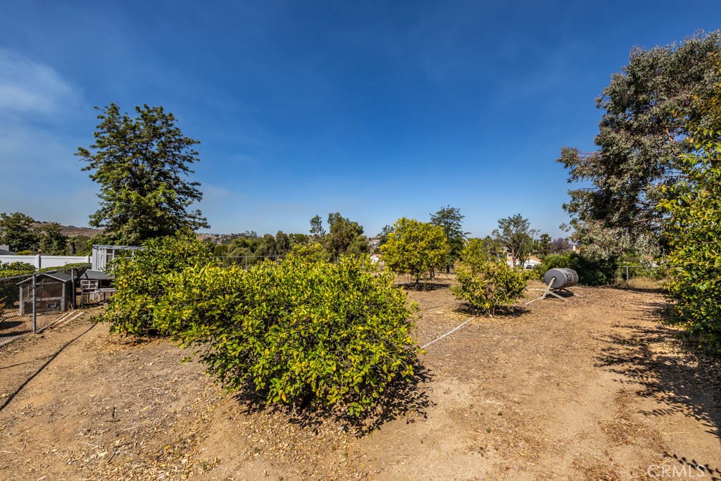 16295 Constable Road