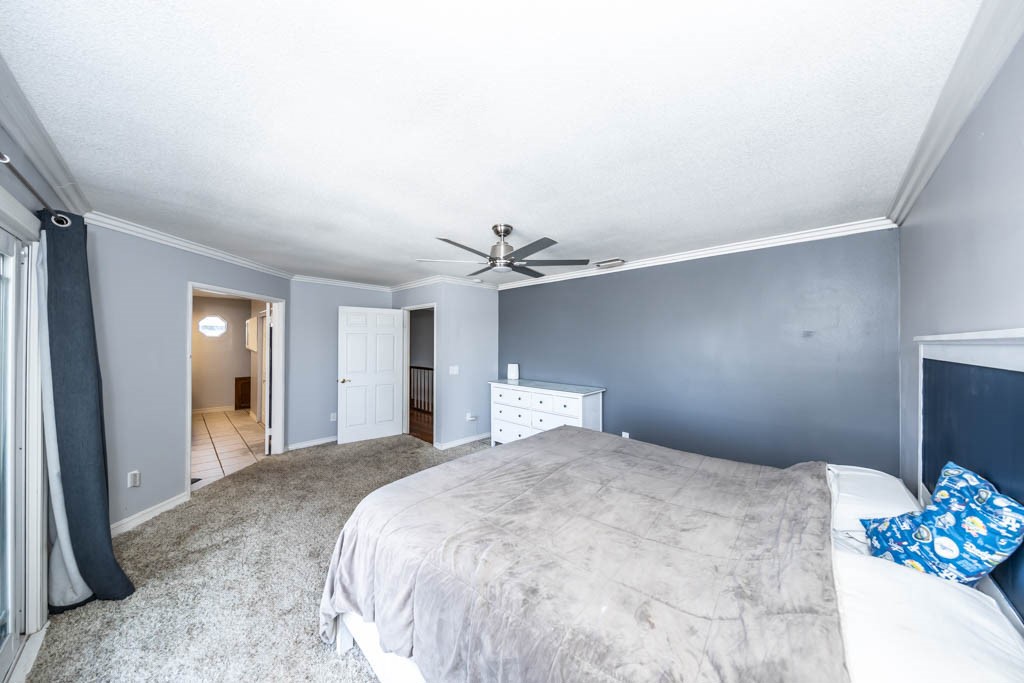 16295 Constable Road