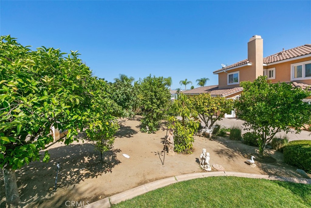 18003 Green Orchard Place