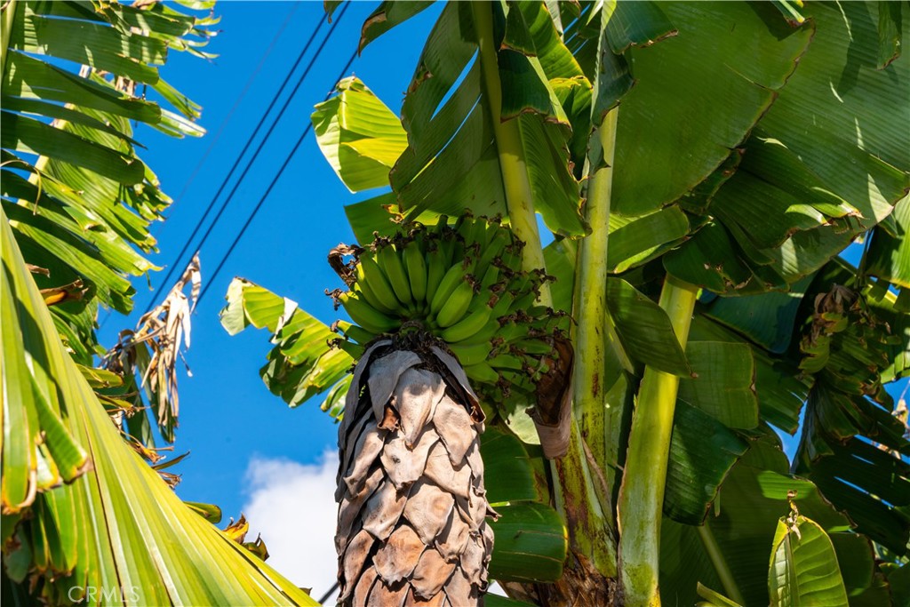 2201 Spinnaker Street