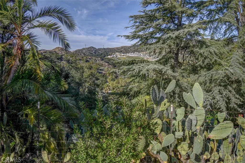 28951 Canyon Oak Drive # 8