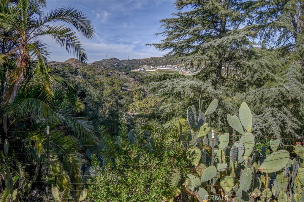 28951 Canyon Oak Drive 8