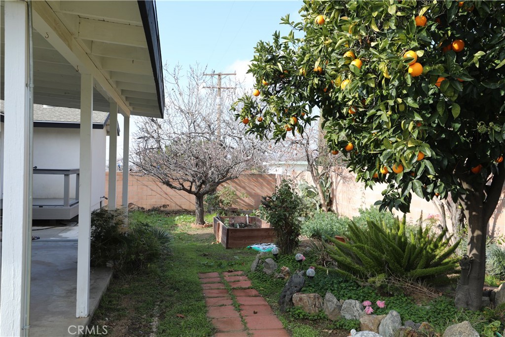 35608 Persimmon Street