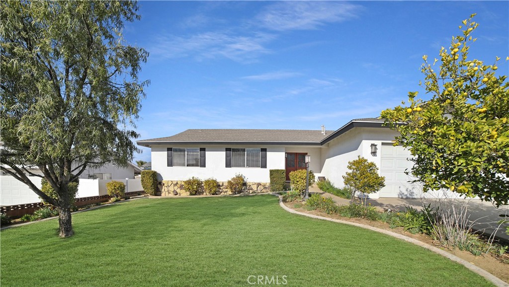 35608 Persimmon Street