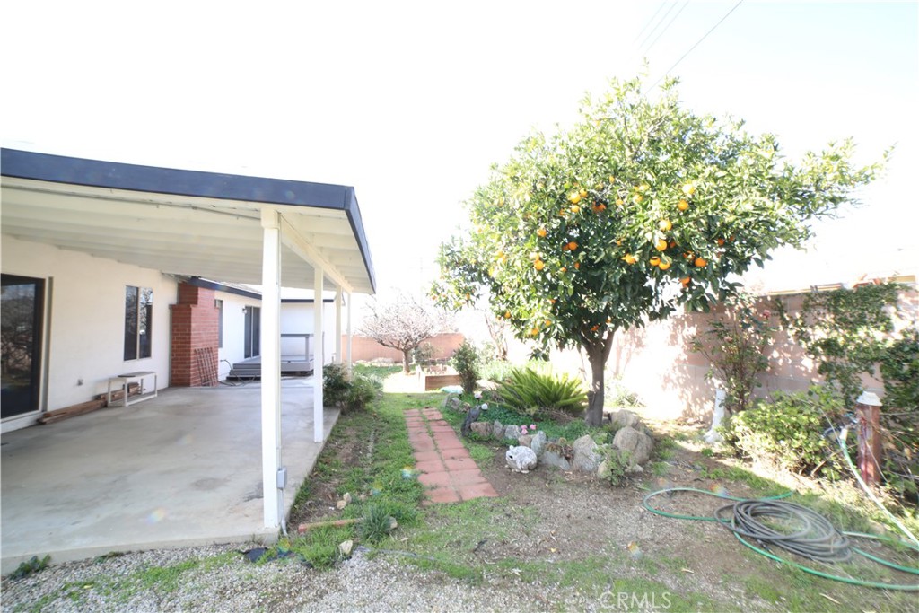 35608 Persimmon Street