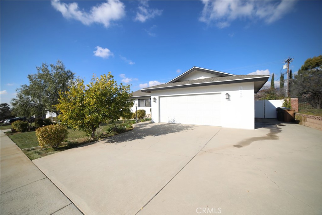 35608 Persimmon Street