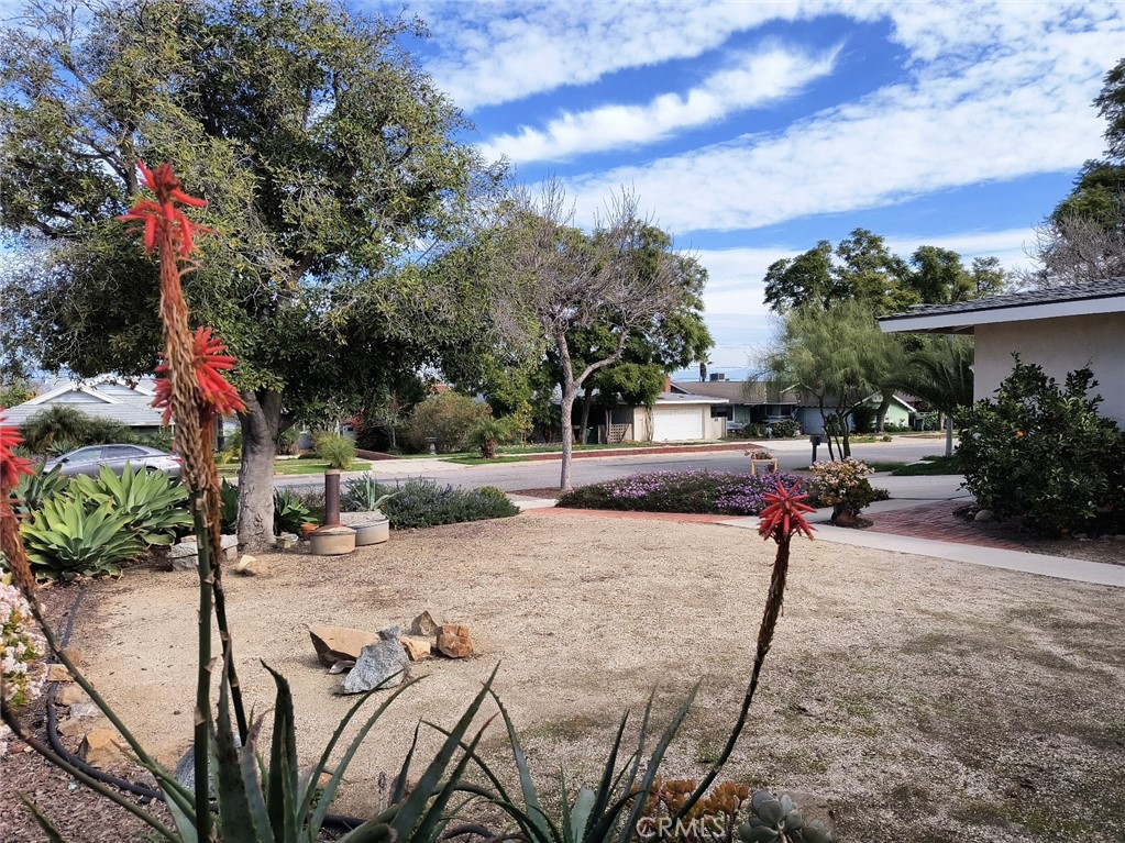 430 E Hacienda Drive