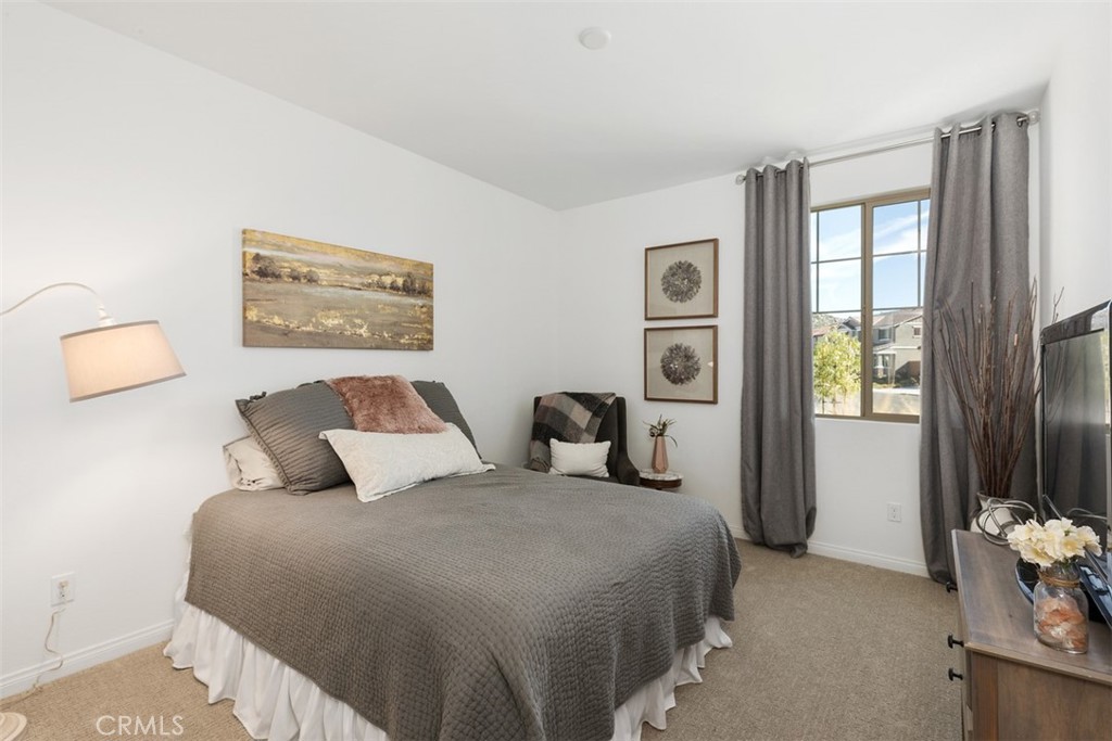 29516 Tulipwood Street