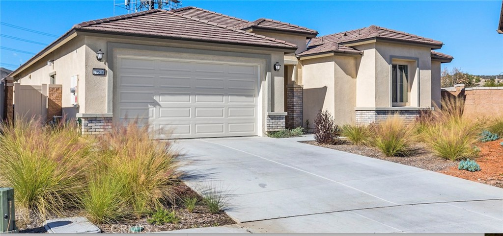 29516 Tulipwood Street