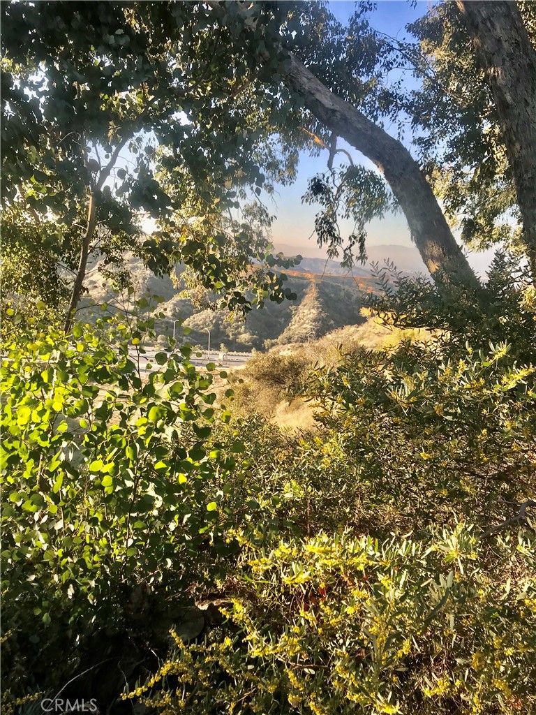 2612 Avenida Del Vista 203