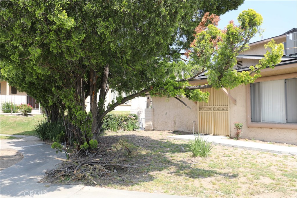 3700 Mountain Avenue 8A