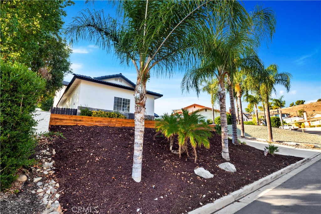 29707 Yellow Gold Drive