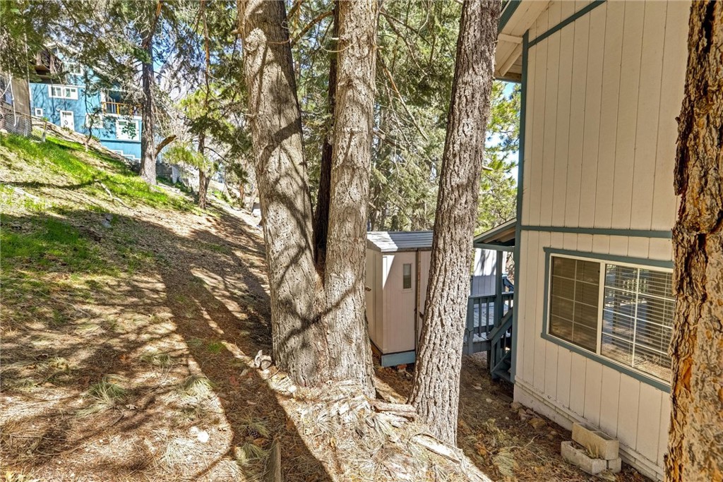 31920 Pine Cone Drive