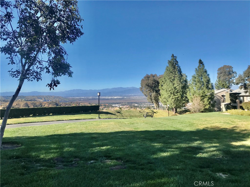2612 Avenida Del Vista 203