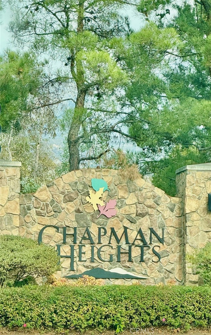 11904 Greenbluff Way