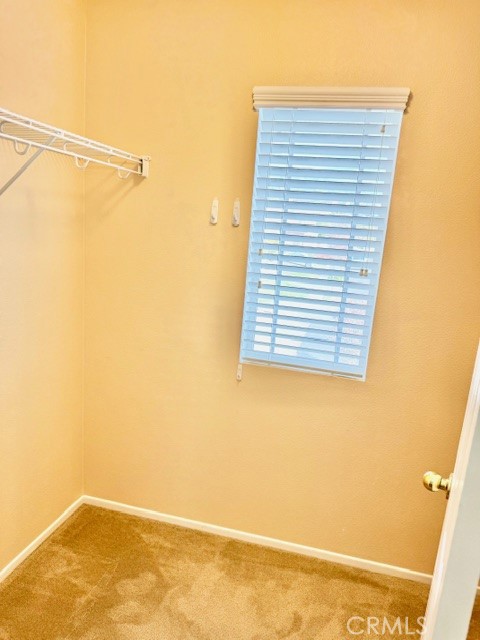 11904 Greenbluff Way