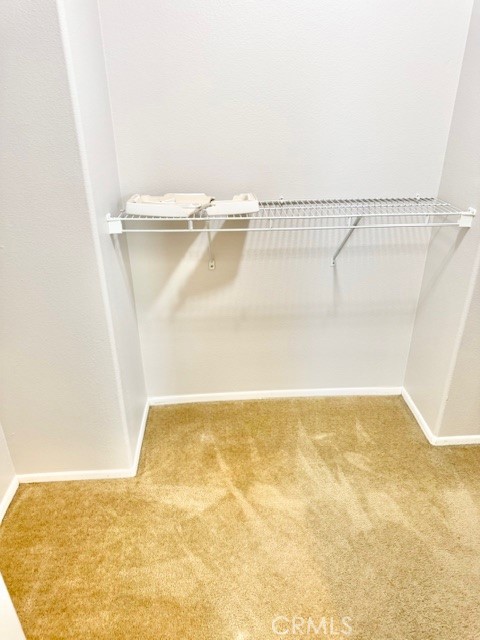 11904 Greenbluff Way