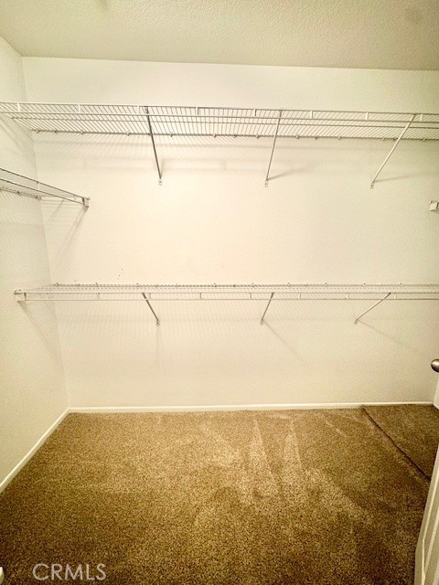 2929 Watermount Street