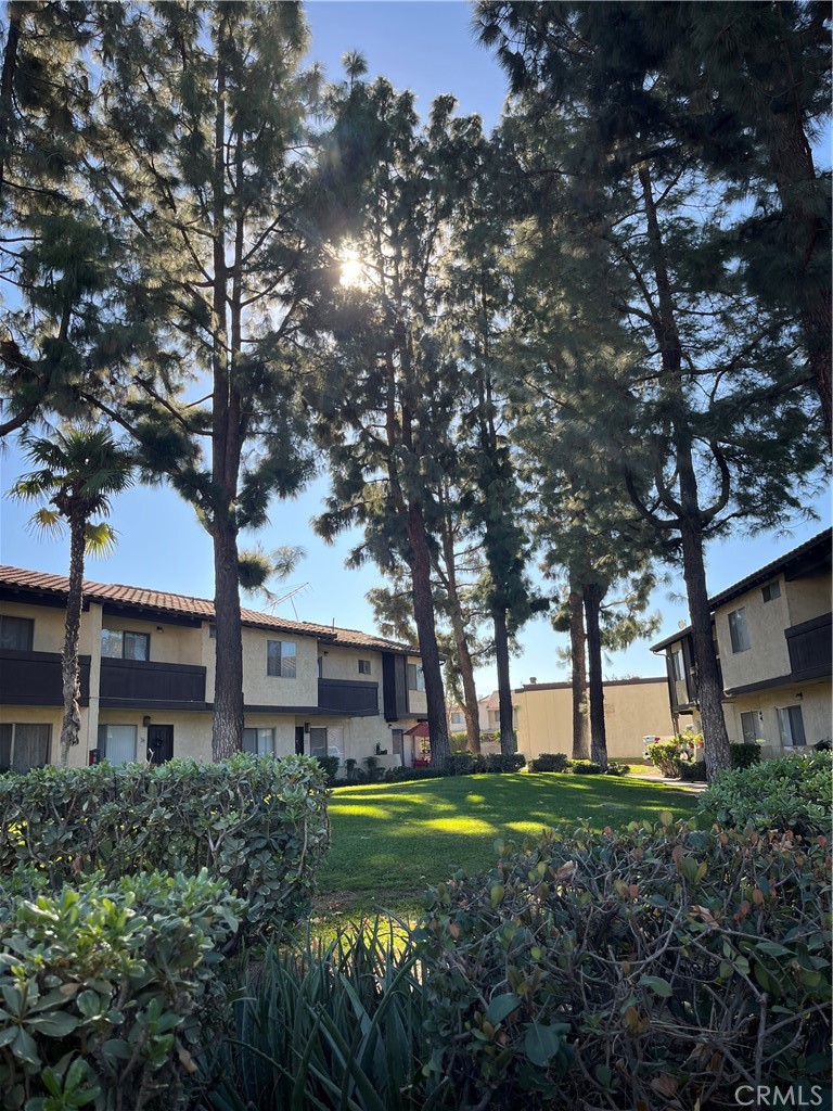 1097 Santo Antonio Drive 10