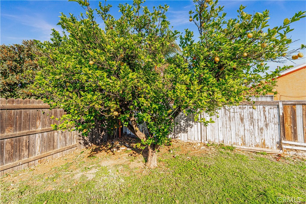 9485 Randolph Street