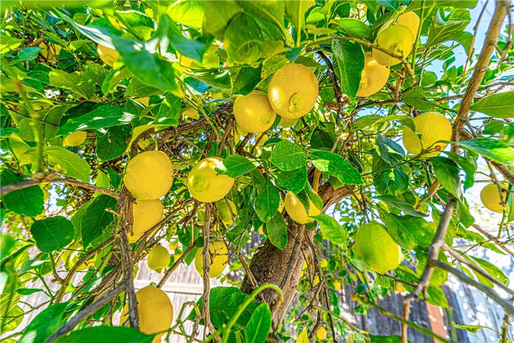 9485 Randolph Street